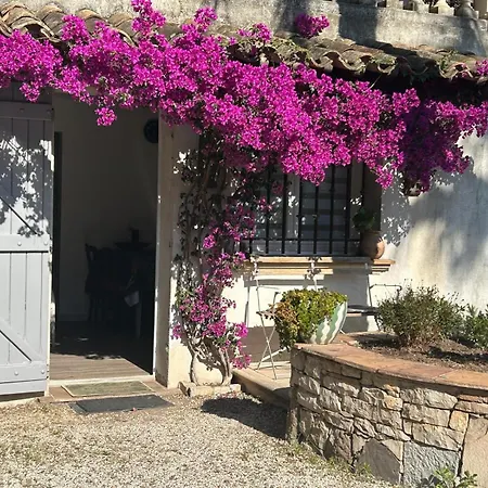 Lejlighed Les Palmiers *