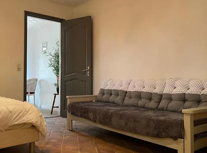 Les Palmiers Fréjus